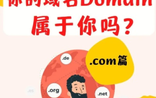 什么是域名的高价赎回期