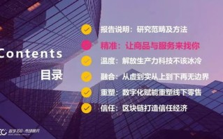 数亦网联，重塑未来数字世界的桥梁