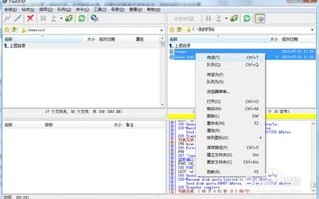 各位高手请问哪里有支持FTP上传的免费空间呀？我只要上传几个简历