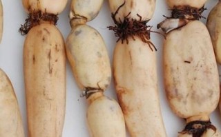 什么叫域名？不同的域名交的钱一样么？为什么有那么多注册域名的网站？