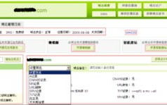 域名DNS解析收费服务，换域名的可能性与注意事项