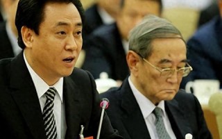 大巨人网络，稳固基石与未来发展之路