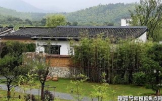 探索网谷互联，亲身体验与全面解析