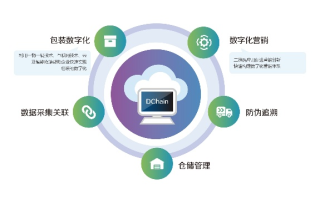 优易互联，构建数字化时代的桥梁，赋能企业高效发展