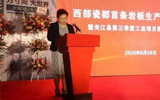 东方数据稳定性，解析其现状、挑战及未来趋势