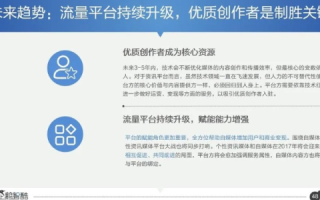 724互联网服务的实战经验分享，用户反馈、操作指南与未来展望