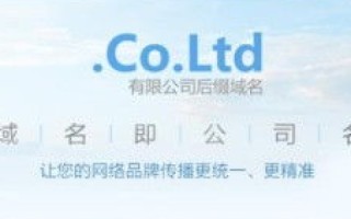 大家觉得CO域名有前途吗？