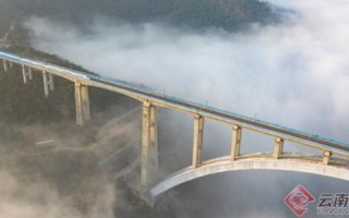 宇尘网络，穿梭数字世界的稳定桥梁