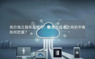 自建网站与租赁服务器的权衡，成本与效益的考量