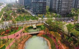 九八互联评测，深入浅出解析互联网发展风云