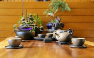 茶猫云，现代茶室的智能解决方案