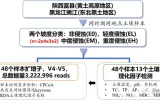免费主机的稳定性及影响因素解析