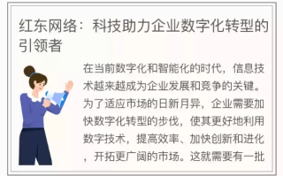 红东网络，重塑互联网生态，引领技术创新新篇章