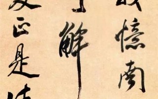 探索百佳人网的真实使用体验，揭秘其可靠性、功能与用户体验