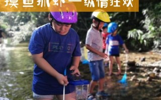 探索派网的稳定性情况—从技术、安全与用户经验入手
