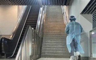 深度评测，新站点数据背后的惊喜与挑战