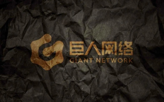 大巨人网络评测，探索网络与科技的无限可能