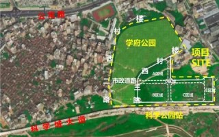 超视野数据，赋能未来决策的革新实践
