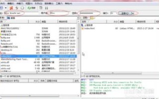 建设网站都需要什么，从域名、空间、源代码到FTP上传工具的全面解析