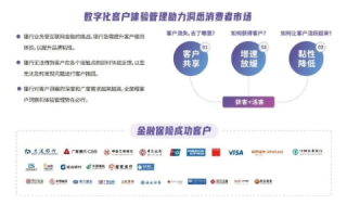 探索万胜网络的实战应用，用户体验、优势与挑战并存的互联网时代先锋