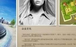 域名解析困境，空间商跑路后的应对之道