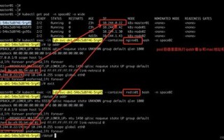 网络迷踪，解析网页加载差异与域名解析错误之谜