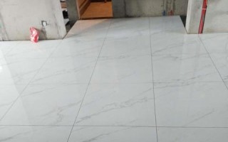 搬瓦工评测，高效、稳定与成本效益的最佳实践