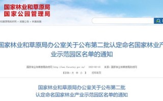 探索目前最好用且免费的二级域名网站平台