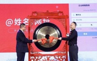 免费域名与非免费域名，深度解析其区别与影响