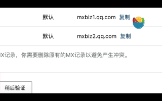 刚申请的域名怎么进不去？