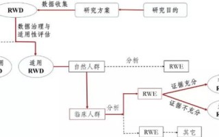 揭秘员跃科技，全流程初学者指南与用户真实使用反馈
