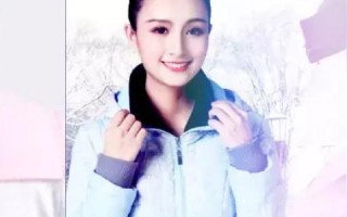 领网应用体验，亲测与解析