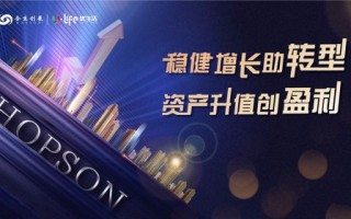 天信网络科技的稳健发展之路，科技力量支撑稳定前行