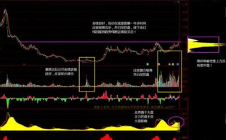 域名投资与服务器租赁，探索数字资产盈利之路