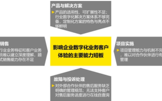 睿虎网络企业数字化转型的可靠伙伴，用户体验与成效深度解析