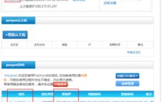 动态域名，解锁互联网访问的新钥匙