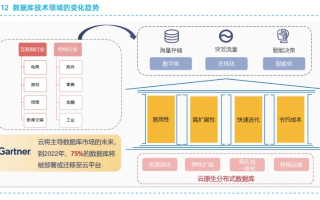 探索云原生架构中的顶点主机，优势、挑战与最佳实践