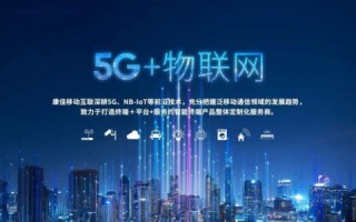 龙城互联时代，探索互联网在龙城地区的发展与挑战