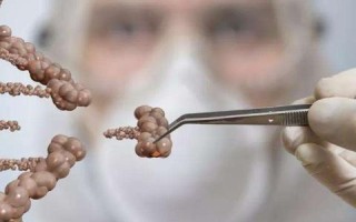 萤火虫虚拟主机，稳定性解析与实战应用探讨