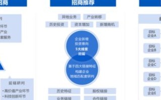 凌科网络，以创新科技，引领行业数字化转型新篇章