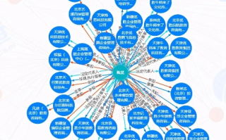 飞网数据，编织数字时代的未来版图