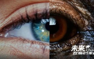 诺言网络，探索其实际应用与未来挑战