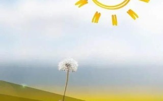 90后创业的浪潮与时代评测，破浪前行，引领未来新潮流