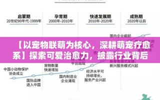 乐猫网络，解析互联网新宠的全面实力与未来展望