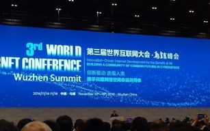 中国网络科技，蓬勃发展，引领未来
