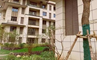 如何在保留原有网址与域名的情况下，重新构建公司网站