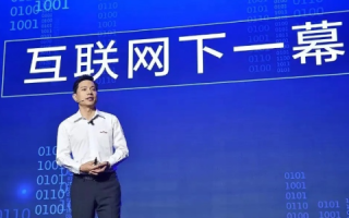 中国巨网，重塑互联网版图的数字巨擘