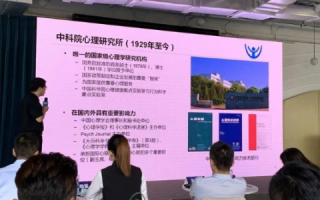 北京中意互联使用心得，真实用户体验分享与深度解析