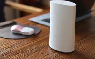 揭秘服务器租用，独享100M宽带与10M宽带的差异与性价比考量