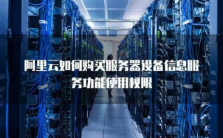 在网上租用云服务器，解锁数字时代的无限可能